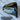 Ping G440 LST 9* Driver Head | No HC