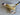 *NEW* Scotty Cameron Custom SS Newport 2 24K Gold Plated 34in Putter- Burnt