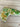 *NEW* Scotty Cameron 2016 St. Patrick's Day Blade Putter Headcover