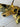 *NEW* Scotty Cameron Custom SS Newport 24K Gold Plated 34in Putter- Black Paint