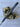 *NEW* Scotty Cameron Custom SS Newport Welded Center Shaft 33in Putter- Lime