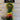 *NEW* Scotty Cameron 2026 PGA Championship Gottahava Hybrid- Yellow Headcover