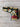 *NEW* Scotty Cameron Limited Edition Wasabi & Ginger Gray/Gold Blade Headcover