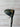 Callaway Paradym Triple Diamond 14* 3W Fairway | Fujikura Black Ventus VeloCore