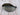 *PRISTINE* Callaway Paradym AI Smoke *Tour Issue* TD+ 9* TCF Driver Head