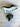 *NEW* Callaway Quantum MAX 10.5* (Out of Plastic) Driver Head