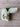 *NEW* Scotty Cameron 2013 Green Gator Dog (Genuine Alligator) Blade Headcover