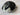 TaylorMade Qi10 Tour Issue 10.5* Dot Driver Head