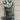 *NEW* Scotty Cameron 2026 Camo Crown Collage Fairway Headcover