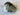 *NEW* Cobra OPTM 2026 MAX-K 10.5* Driver Head