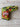*NEW* Scotty Cameron 2018 El Mariachi Cinco de Mayo Blade Putter Headcover