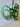 *NEW* LAB DF3 Green 35in Putter- Black Accra Shaft / 69* Lie Angle (Left-Handed)