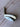 Mizuno Pro 241 Forged PW Iron Head