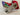 *NEW* Scotty Cameron Custom SS Squareback 2 Red Tour Dot | Custom 34in Putter