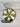 *NEW* Scotty Cameron Gallery Exclusive Brown Drumstick Putting Disc