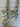Titleist T100S 4-P (7pcs) Iron Set- TT Dynamic Gold X100 Tour Issue Shaft