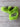 *NEW* Scotty Cameron 2023 Halloween Clop Shot Blade Putter Headcover