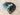 *NEW* CMC Live Lucky Black/Blue Clover Mallet Headcover