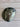 *NEW* TaylorMade Qi4D Core 10.5* No Headcover Driver Head