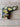 *NEW* Scotty Cameron Limited Edition Wasabi & Ginger Gray/Gold Blade Headcover