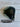 *NEW* Callaway Quantum MAX 10.5* Out of Plastic- No Headcover Driver Head
