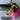 *NEW* Scotty Cameron Custom SS Newport 24K Gold Plated 35in Putter- Black