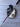 Odyssey Eleven Tour Lined 31in Putter- White Hot Insert | Stroke Lab Shaft
