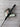 Scotty Cameron Made for Tour w/COA Newport 2 Tour Only "T" Stamp 34in Putter