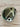 *NEW* Callaway Elyte Triple Diamond 9* No Headcover Driver Head