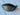 *NICE* Ping G440 LST 9* Driver Head | No HC