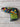 *NEW* Scotty Cameron 2019 Cinco De Mayo Pinata Blade Putter Headcover
