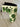 Scotty Cameron Custom Shop White Cash is King Mid Mallet Putter Headcover