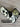 *NEW* Scotty Cameron 2017 Knock 'em Dead Blade Putter Headcover