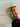 *NEW* Scotty Cameron 2024 Gingerbread Men Blade Putter Headcover