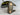 *NEW* Scotty Cameron Custom Phantom 7.2 Chocolate PVD Camo 35in Putter