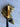 *NEW* Scotty Cameron Custom SS Newport 2 24K Gold Plated 35in Putter- Cherry Red