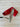 *NEW* Scotty Cameron Custom SS Newport Custom Milled Face | Cherry 34in Putter