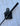 *NEW* Mizuno M.Craft X P / SIX 35in Putter- Black Shaft