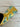 Scotty Cameron M&G Gold Wasabi Surfer USA + Japan Blade Putter Headcover