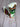 *NEW* Scotty Cameron Limited Edition ICC Mexican Open Shaqtus Blade Headcover