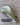*NEW* TaylorMade	Qi35 Driver Headcover
