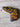 *NEW Scotty Cameron Circle T Tour Rat | Gray/Yellow/Red | Blade Putter Headcover