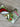 *NEW* Scotty Cameron 2023 Johnny Clause Blade Putter Headcover