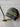 *NEW* Scotty Cameron Custom Phantom 11.5 Gold PVD 35in Putter | Black Paintfill