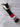 Titleist 910F Fairway Headcover