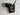 *PRISTINE* Scotty Cameron Limited 2009 Napa 35in Putter-Black Leather Stitchback