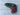 *NEW* Odyssey Cinco de Mayo Blade Putter Headcover
