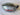 *NEW* Cobra OPTM 2026 MAX-K 10.5* Driver Head