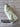 Ping Putterman Vintage White Plush Fur Fairway Headcover