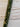 Scotty Cameron Circle T .355 31" Putter Shaft | CT Shaft Band | Camo Matador